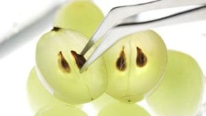 Dental PRo 7